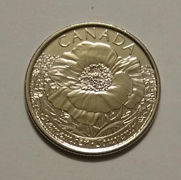 Flanders Poppy
