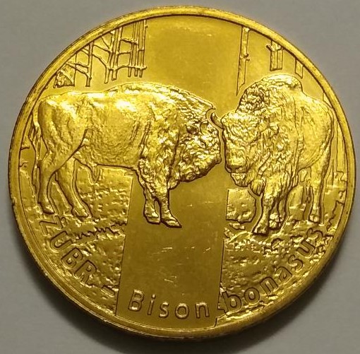 European Bison