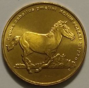 Polish Konik